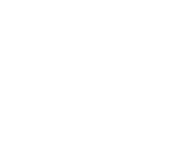 Opus Vox logo